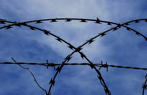 barbed-wire-235759_1280